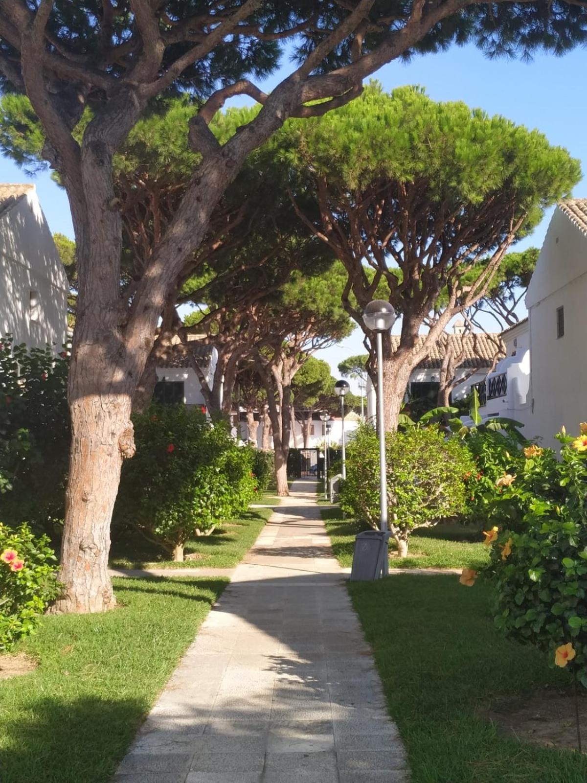 Villa La Barrosa duplex Chiclana de la Frontera Esterno foto